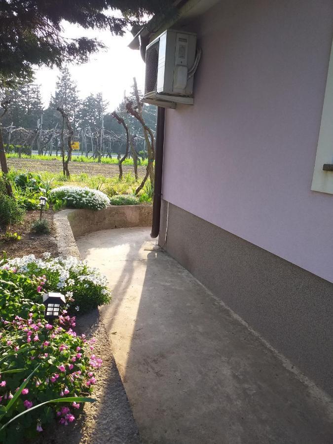Istra Daire Koper Dış mekan fotoğraf