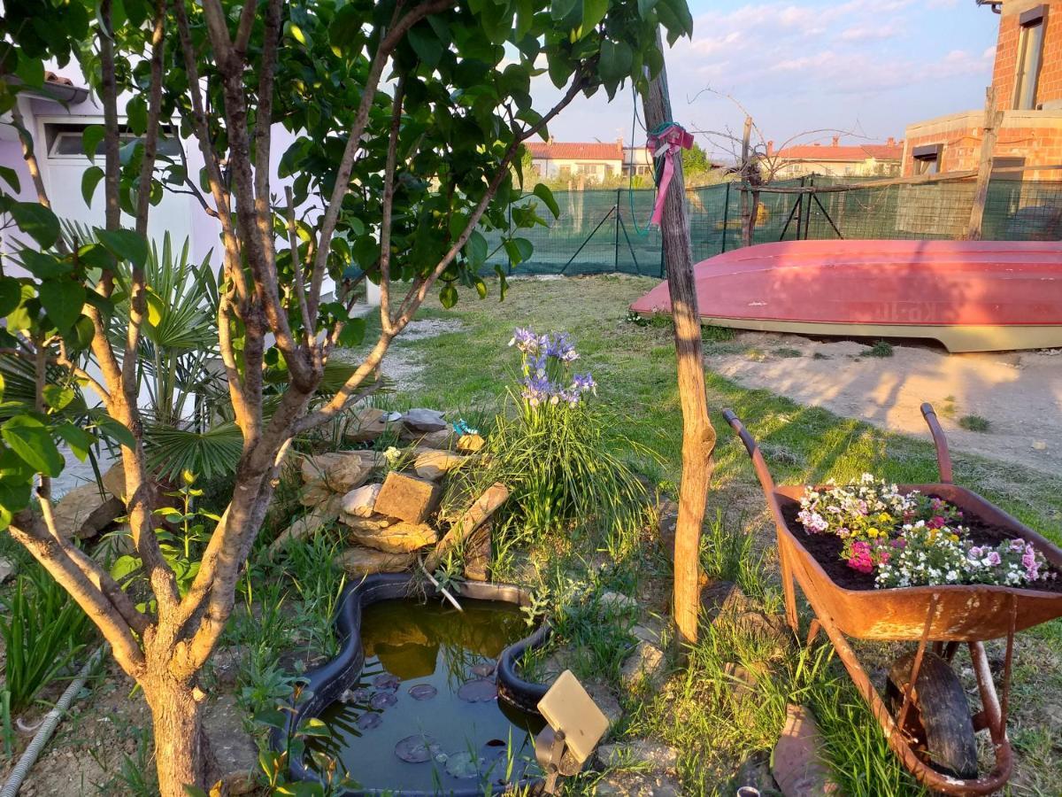 Istra Daire Koper Dış mekan fotoğraf